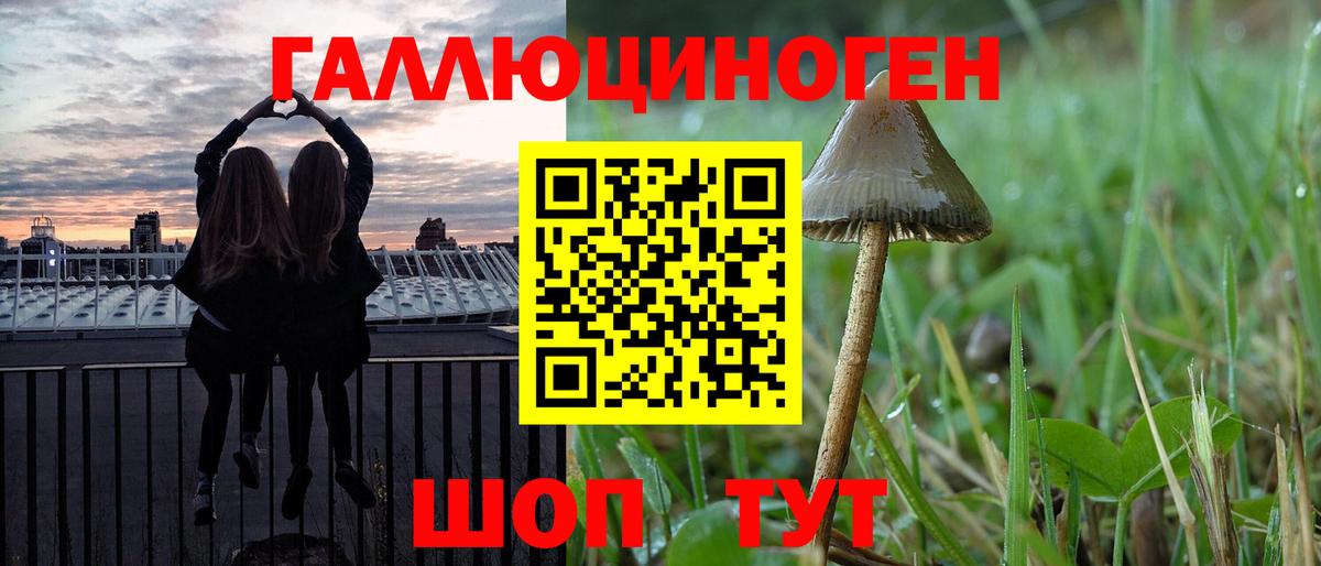 Ногинск  Галлюциногенные грибы Psilocybe  Вход с VPN 